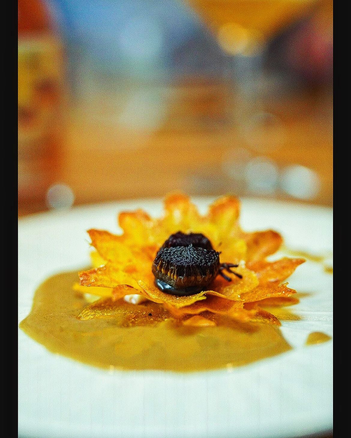 Private dining gourmet catering